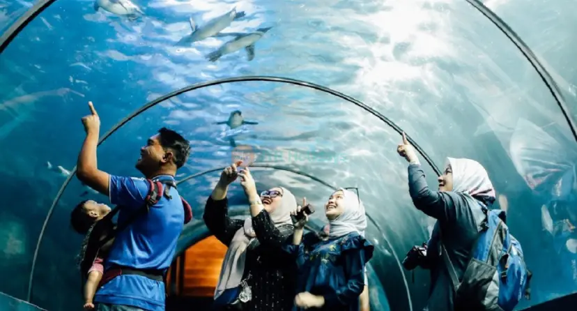 Underwater World Langkawi - Image 1 of 8