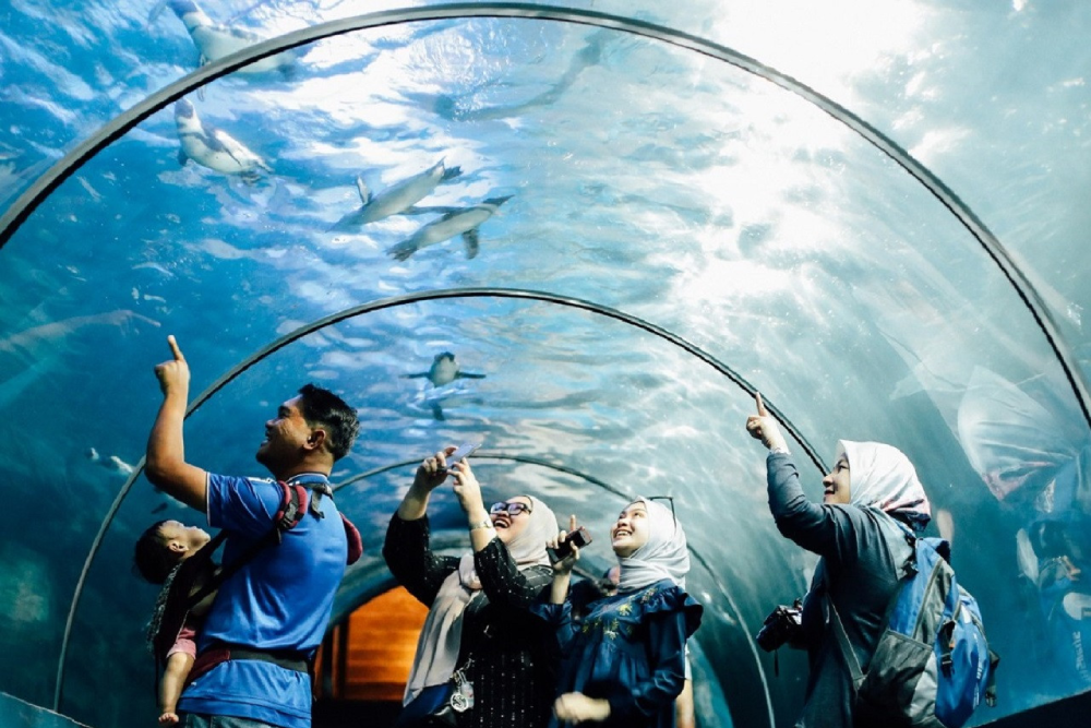 Underwater World Langkawi - Discover the beauty of marine life at Underwater World Langkawi, one of Southeast Asia’s largest aquariums. Underwater World Langkawi features 11 exciting zones showcasing sea creatures from around the world. Meet the adorable Rockhopper penguins, the stars of Underwater World Langkawi, and watch them during feeding time. Walk through the 15 meter tunnel at Underwater World Langkawi and see giant stingrays and groupers swim above you. Perfect for families and nature lovers, Underwater World Langkawi offers an unforgettable underwater adventure! Underwater World Langkawi - Image 1 of 5