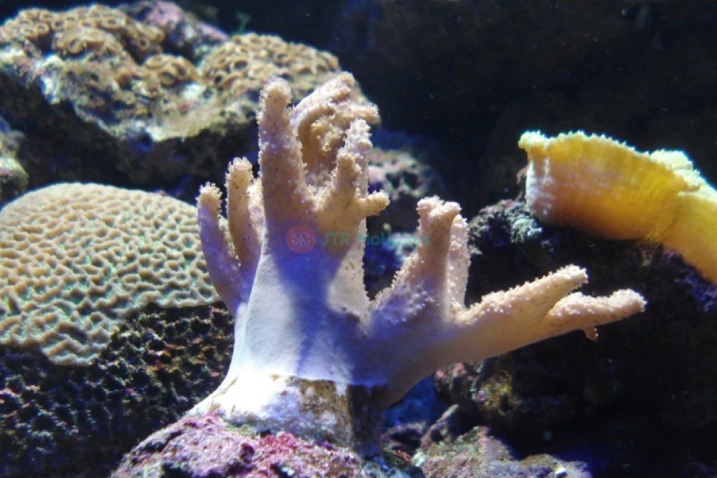 Underwater World Langkawi - Image 6 of 8