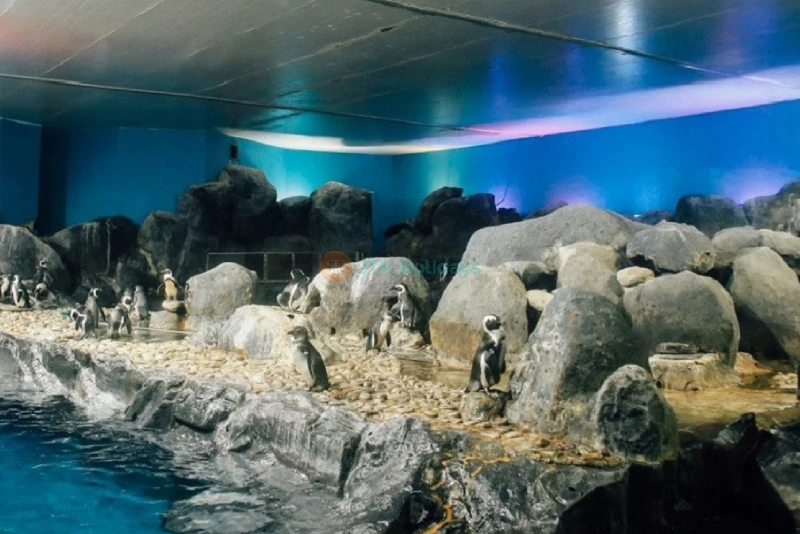 Underwater World Langkawi - Image 7 of 8