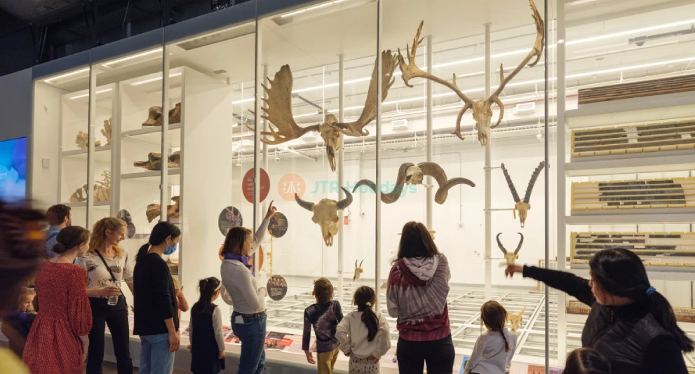 Museo Americano de Historia Natural de Nueva York - Image 1 of 9