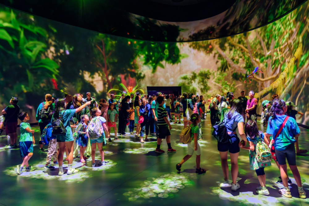 美国自然历史博物馆 纽约 - 图片 4 的 5