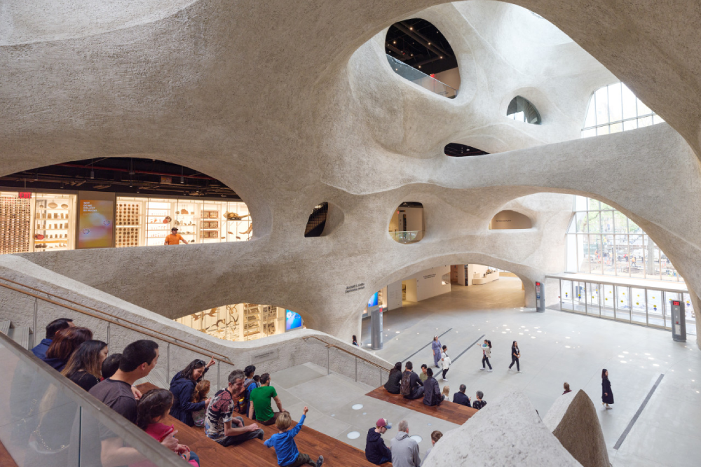 美国自然历史博物馆 纽约 - Image 5 of 9