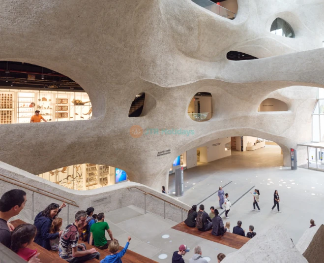 Museo Americano de Historia Natural de Nueva York - Imagen 5 de 5