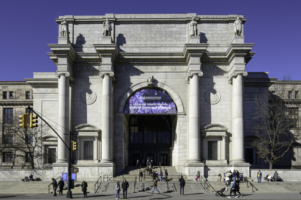 美国自然历史博物馆 纽约 - Image 6 of 9