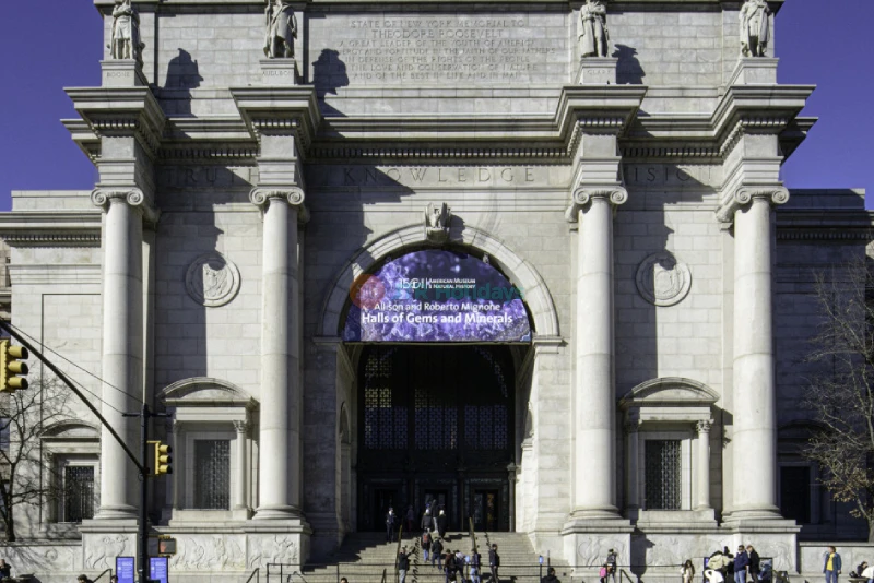 Museo Americano de Historia Natural de Nueva York - Image 6 of 9