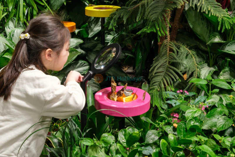 Museo Americano de Historia Natural de Nueva York - Image 8 of 9