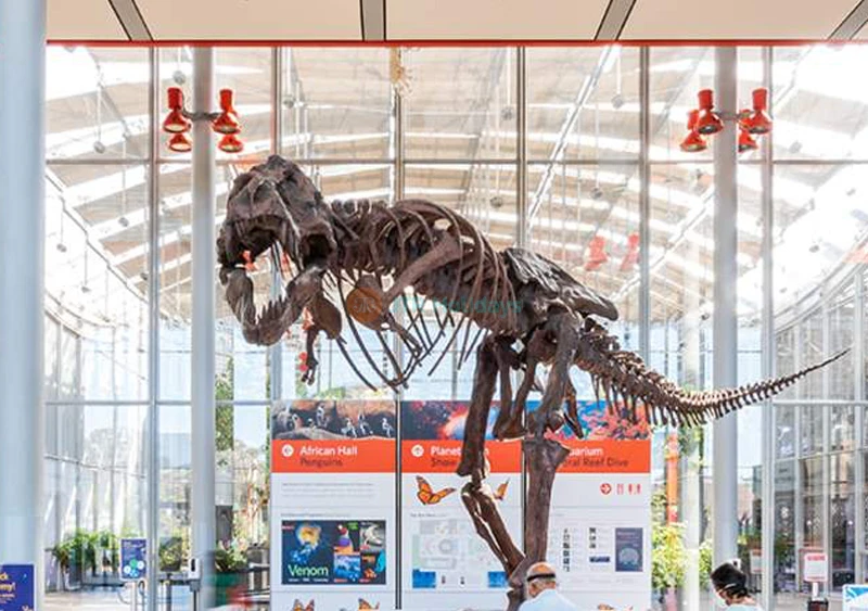 California Academy of Sciences San Francisco