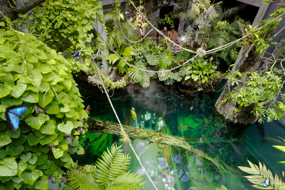 加利福尼亚科学院 旧金山 - 图片 3 的 5