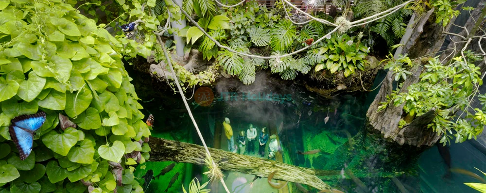 California Academy of Sciences San Francisco - Image 3 of 5