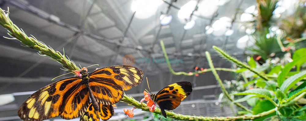 California Academy of Sciences San Francisco - Image 4 of 5