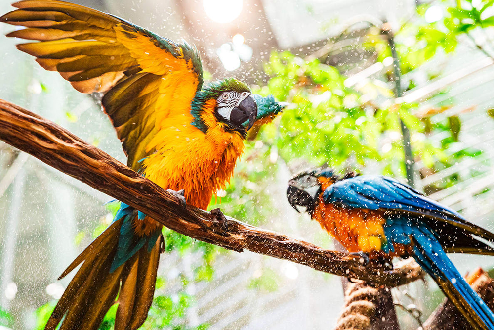 加利福尼亚科学院 旧金山 - Image 7 of 8