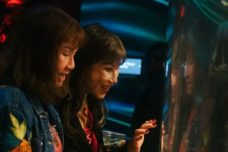 California Academy of Sciences San Francisco - Image 8 of 8