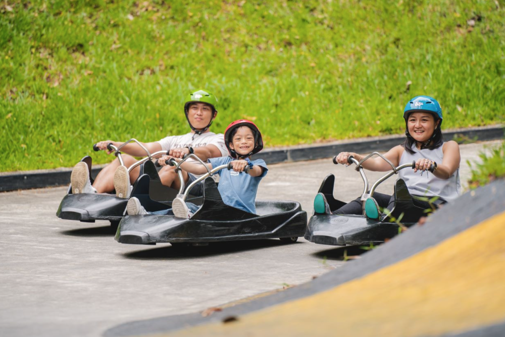 Билет на Skyline Luge Куала-Лумпур - Изображение 3 из 5