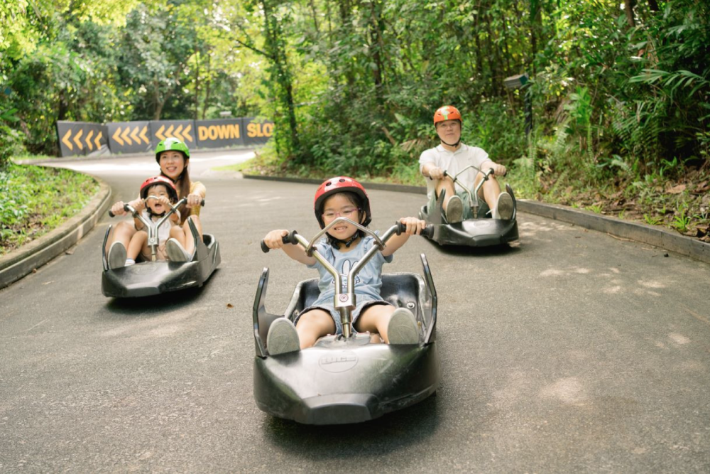 Билет на Skyline Luge Куала-Лумпур - Изображение 2 из 5