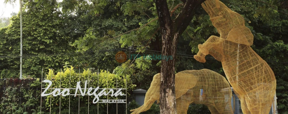 Zoo Negara Malaysia - Image 3 of 5