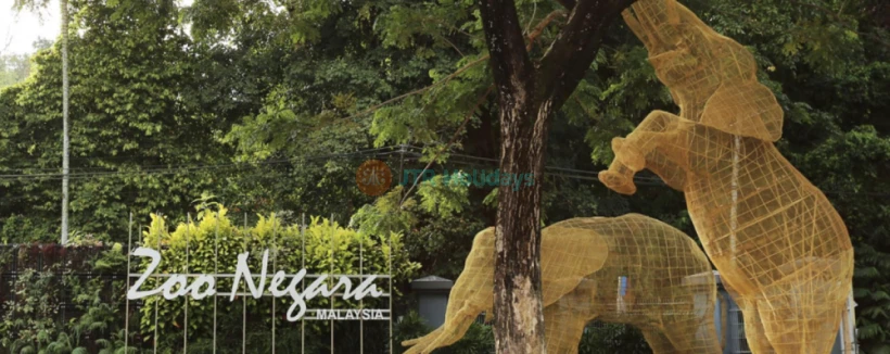 Zoo Negara Malaysia - Image 3 of 5