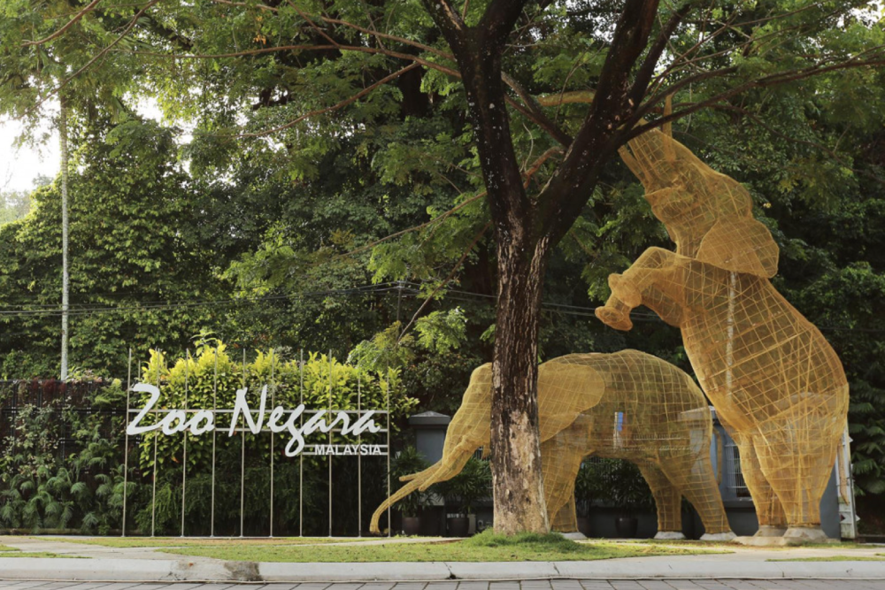 Zoo Negara Malaysia - Image 3 of 5