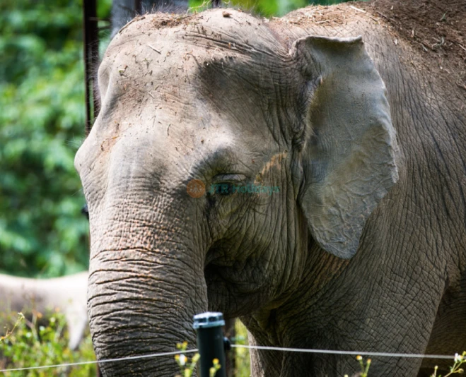 Zoo Negara Malaysia - Image 5 of 5