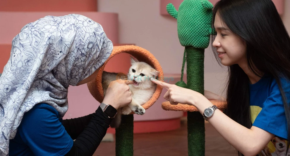 Just Farm by Just Pets Megastore Ticket - Image 1 of 5