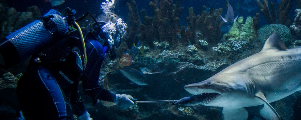 Aquaria KLCC Ticket - Image 4 of 5