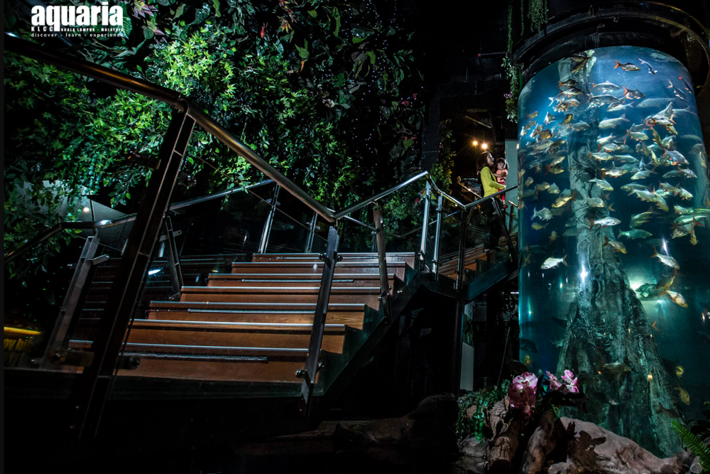 아쿠아리아 KLCC 티켓 - Image 6 of 6