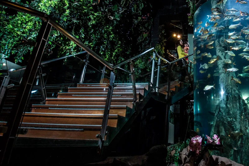 Aquaria KLCC Ticket - Image 6 of 6