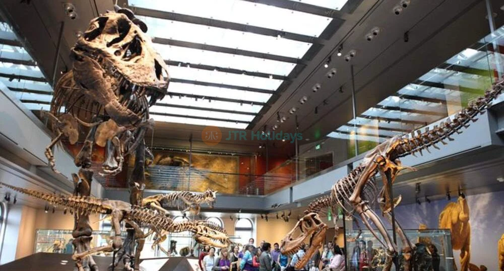 Entrada al Museo de Historia Natural - Los Ángeles - Imagen 1 de 5