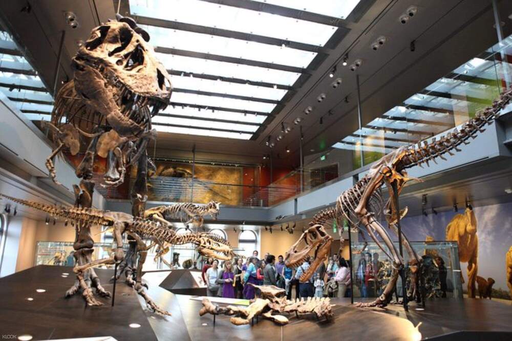 Billet pour le Musée d'Histoire Naturelle - Los Angeles - Obtenez vos billets pour le Musée d'Histoire Naturelle du comté de Los Angeles et explorez des fossiles de dinosaures impressionnants, des gemmes rares, des plantes vivantes et des expositions interactives. Découvrez le Tyrannosaure rex, l'histoire naturelle de la Californie et bien plus encore dans cette aventure muséale adaptée aux familles. Billet pour le Musée d'Histoire Naturelle - Los Angeles - Image 1 sur 5