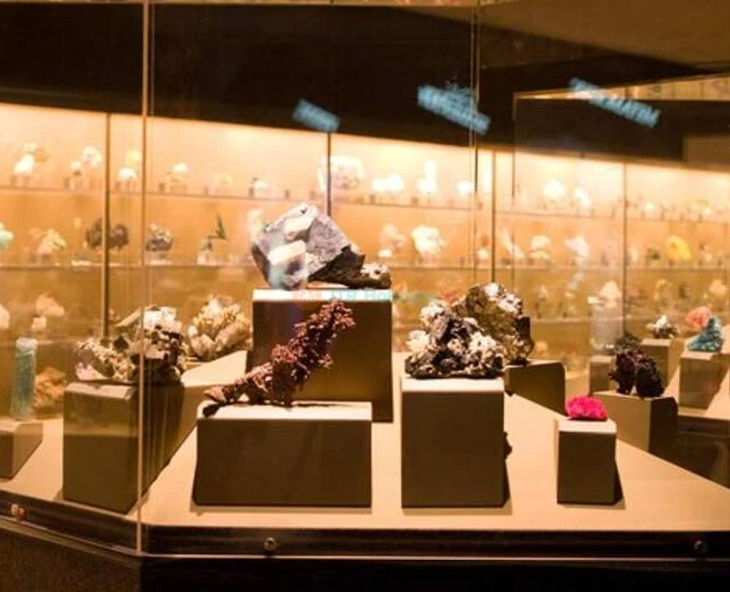 Entrada al Museo de Historia Natural - Los Ángeles - Imagen 2 de 5