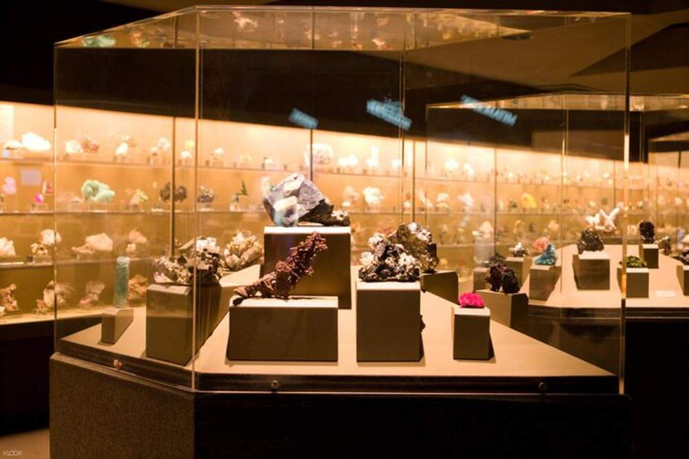 Billet pour le Musée d'Histoire Naturelle - Los Angeles - Obtenez vos billets pour le Musée d'Histoire Naturelle du comté de Los Angeles et explorez des fossiles de dinosaures impressionnants, des gemmes rares, des plantes vivantes et des expositions interactives. Découvrez le Tyrannosaure rex, l'histoire naturelle de la Californie et bien plus encore dans cette aventure muséale adaptée aux familles. Billet pour le Musée d'Histoire Naturelle - Los Angeles - Image 2 sur 5