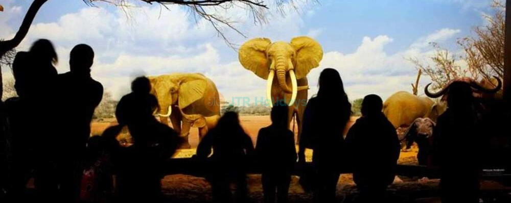 Natural History Museum Ticket - Los Angeles - Image 3 of 5