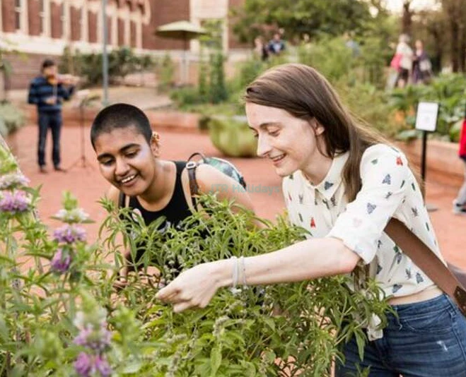 Entrada al Museo de Historia Natural - Los Ángeles - Imagen 5 de 5