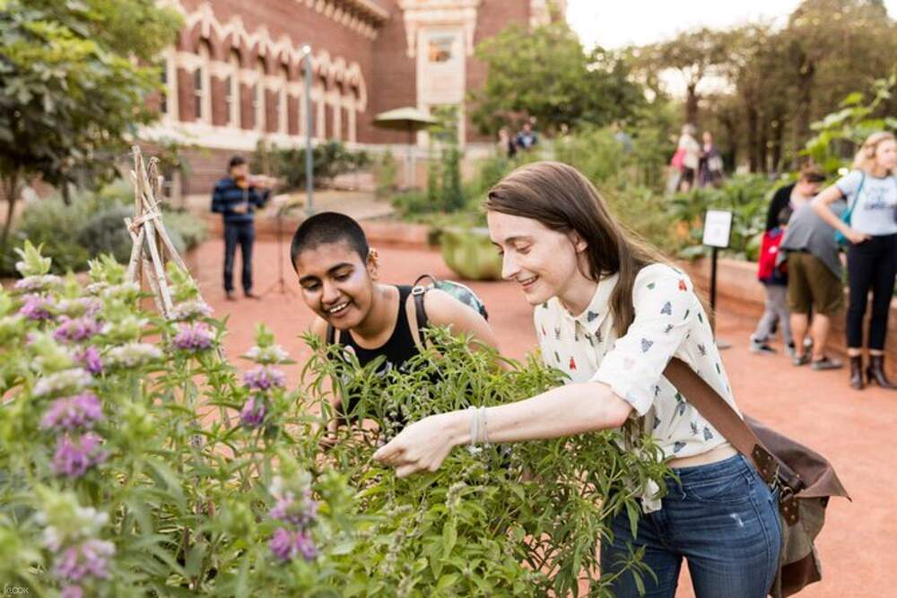 Billet pour le Musée d'Histoire Naturelle - Los Angeles - Obtenez vos billets pour le Musée d'Histoire Naturelle du comté de Los Angeles et explorez des fossiles de dinosaures impressionnants, des gemmes rares, des plantes vivantes et des expositions interactives. Découvrez le Tyrannosaure rex, l'histoire naturelle de la Californie et bien plus encore dans cette aventure muséale adaptée aux familles. Billet pour le Musée d'Histoire Naturelle - Los Angeles - Image 5 sur 5