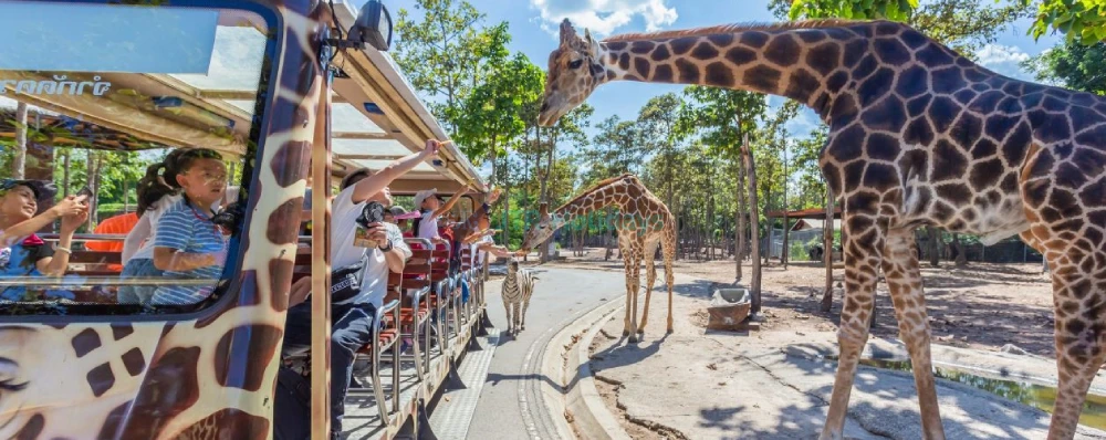 Chiang Mai Night Safari Ticket - Image 3 of 5