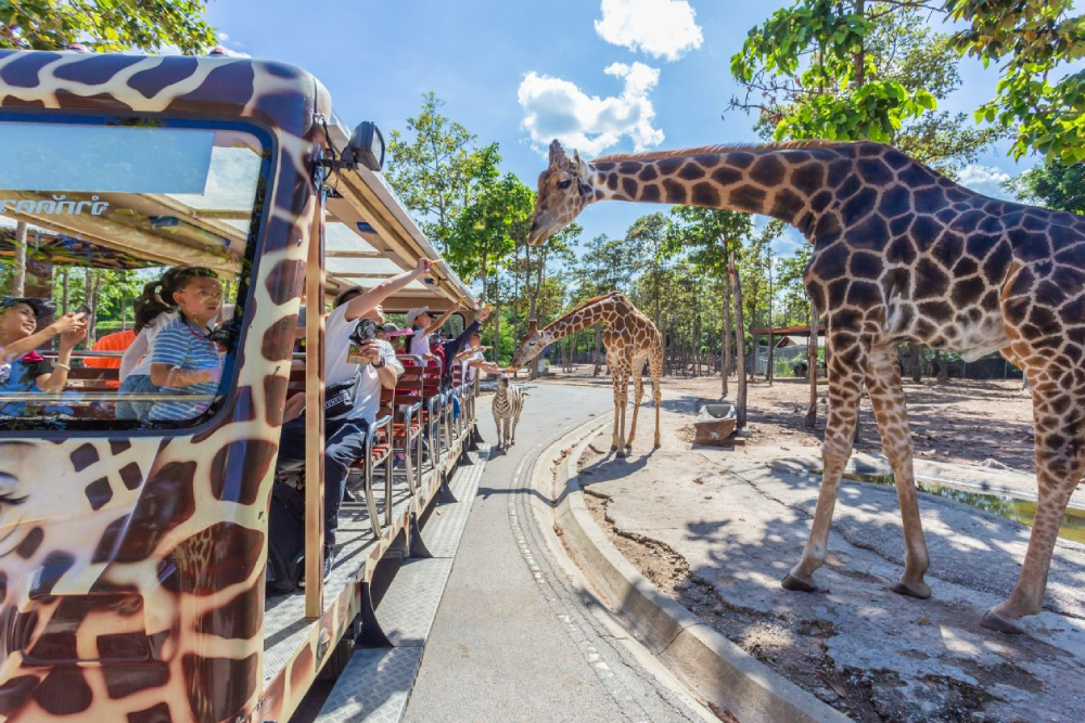 チェンマイ・ナイトサファリ チケット - Image 3 of 10