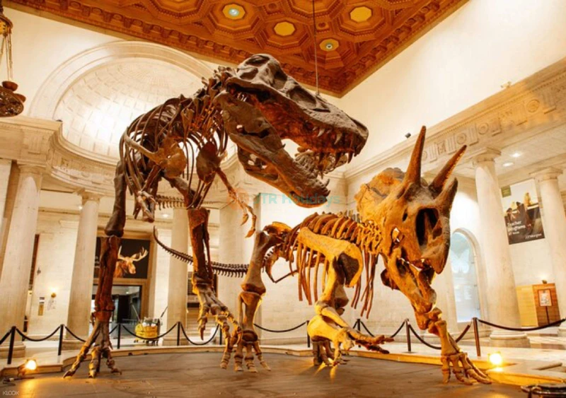 Natural History Museum Ticket - Los Angeles