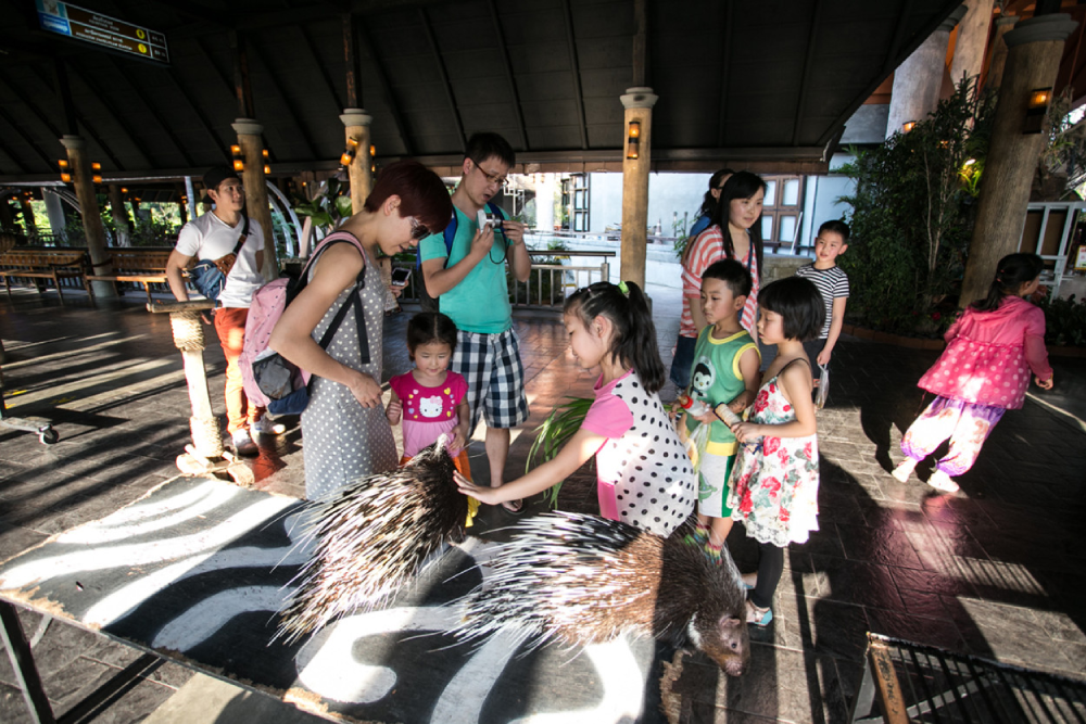 チェンマイ・ナイトサファリ チケット - Image 6 of 10