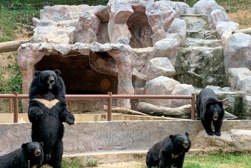 Chiang Mai Night Safari Ticket - Image 7 of 10