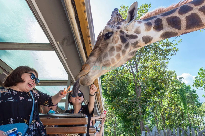 Chiang Mai Night Safari Ticket - Image 10 of 10