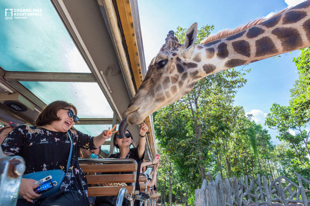 チェンマイ・ナイトサファリ チケット - Image 10 of 10