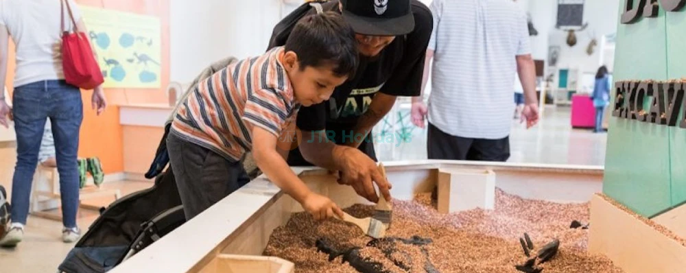 Entrada al Museo de Historia Natural - Los Ángeles - Image 4 of 7