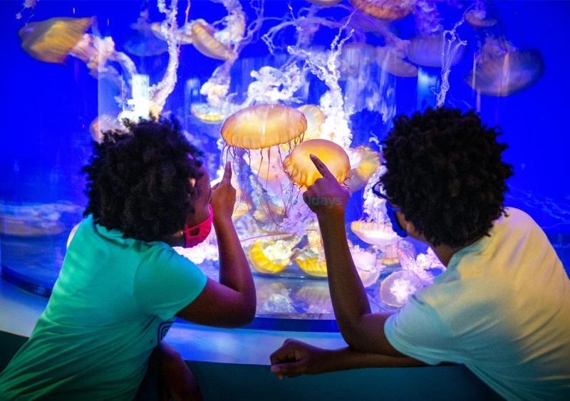 Aquarium of the Pacific Tickets