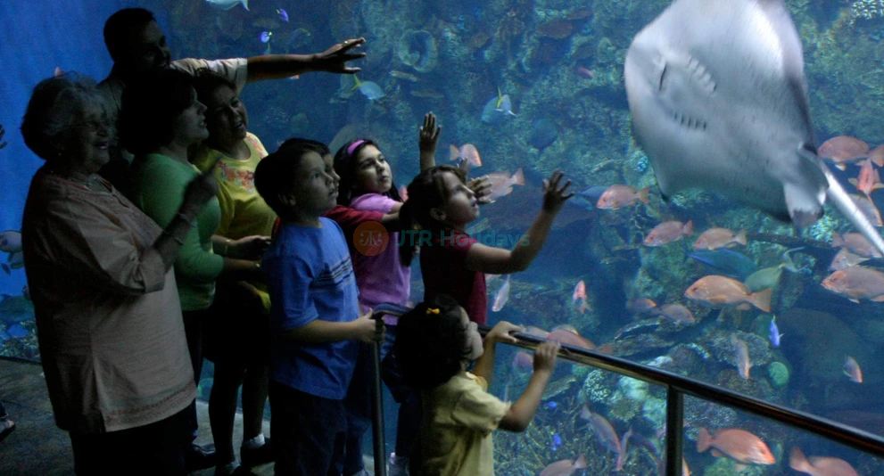 Entradas para el Acuario del Pacífico - Imagen 1 de 5