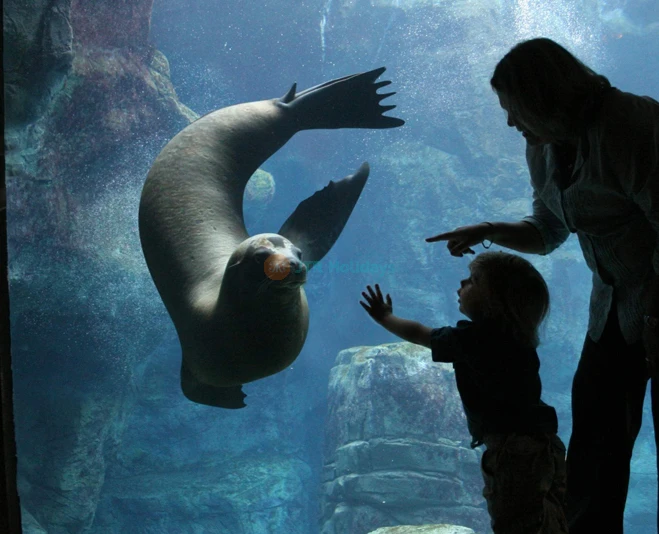 Aquarium of the Pacific Tickets - Image 5 of 5