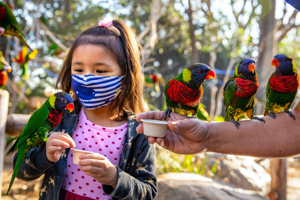 Tickets für das Aquarium des Pazifiks - Image 7 of 7