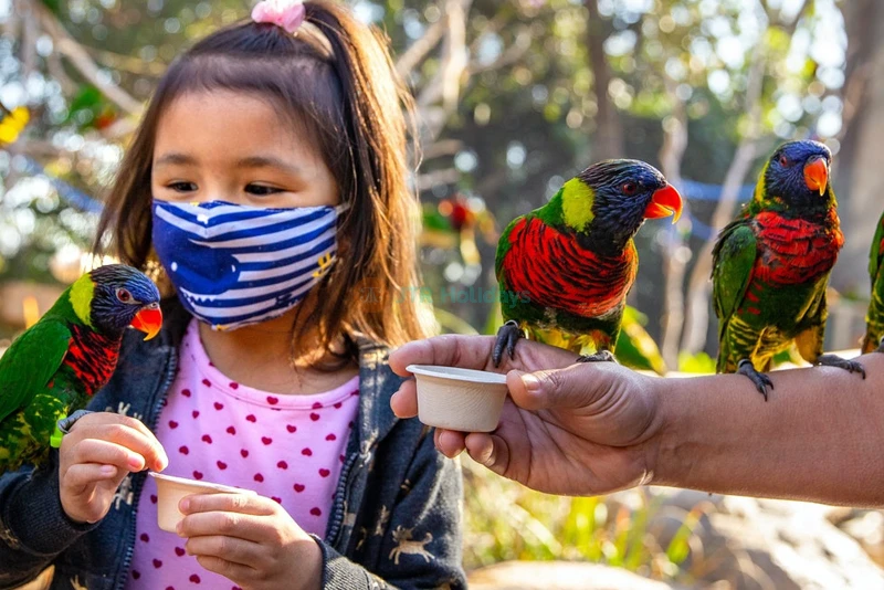 Aquarium of the Pacific Tickets - Image 7 of 7