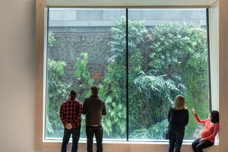 San Francisco Museum of Modern Art - Image 6 of 7