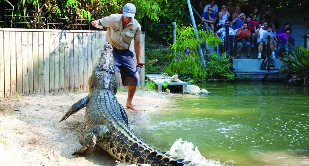 Hartley's Crocodile Adventures - Encounter Crocs & Wildlife in Cairns - JTR Holidays - Image 1 of 5