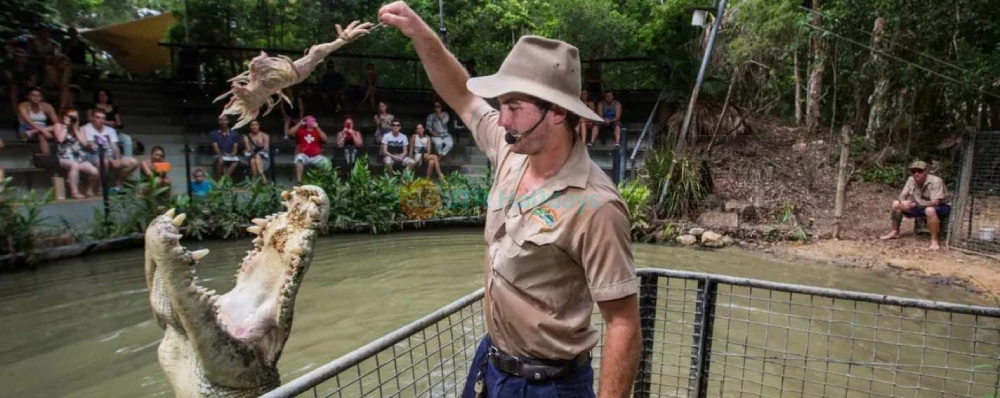 Hartley's Crocodile Adventures - Encounter Crocs & Wildlife in Cairns - JTR Holidays - Image 3 of 5